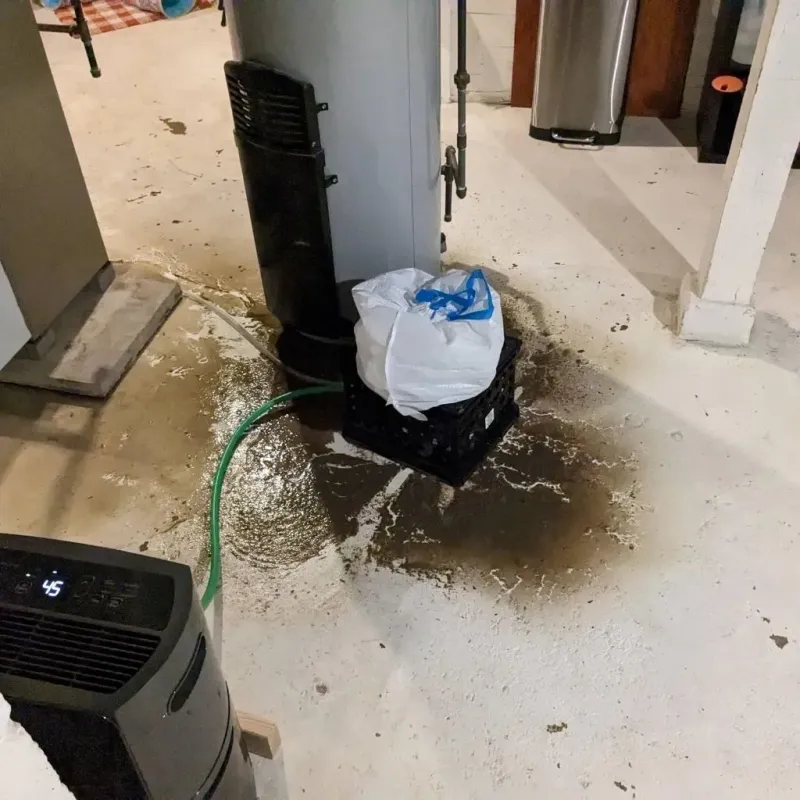 Sewage Backup Cleanup Service in Medina, TN
